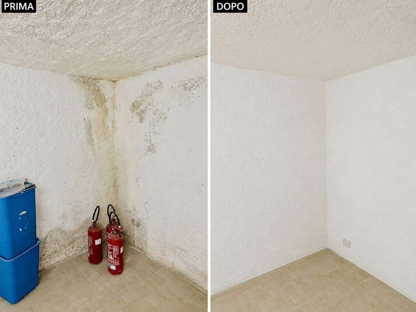 Sahara Domus: prima e dopo
